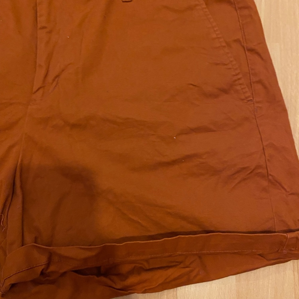 Rust Shorts - Picture 6 of 6